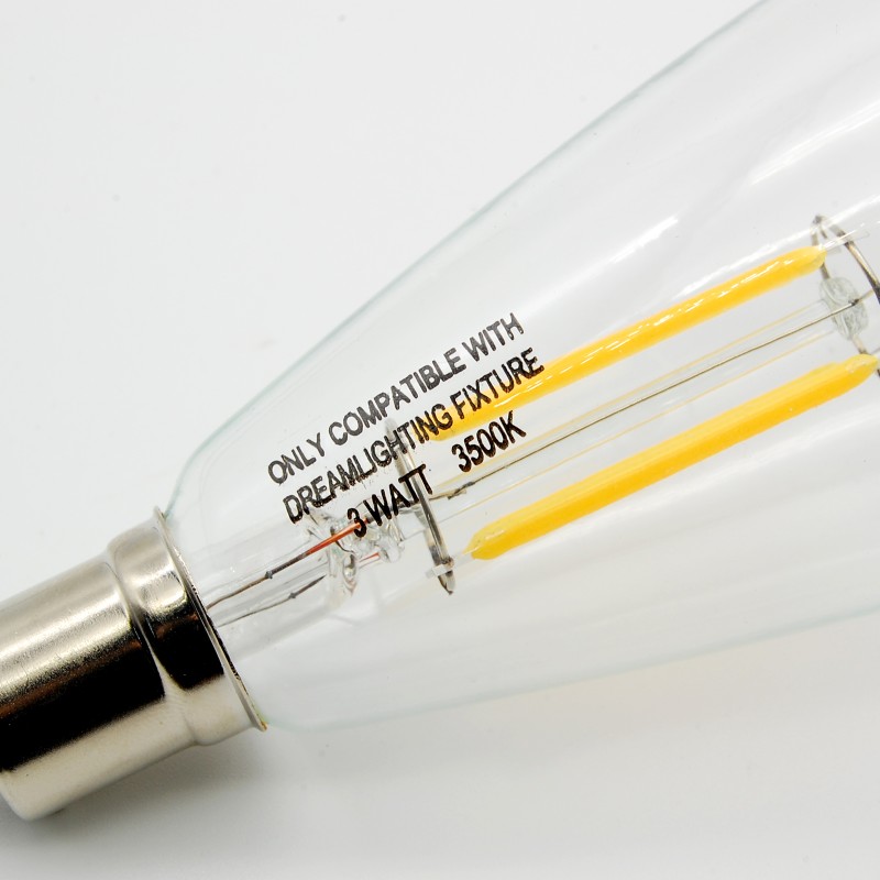 12V Edison Bulb Ceiling Light RV, LED Replace Globe Roof Lamp, 12V