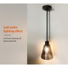 Dream Lighting 12v RV Interior LED Pendant Light RV Coach Dinette Ceiling Lamp Caravan