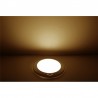 Dream Lighting 12v 5in LED Panel Ceiling Light fixture for RV Caravan Trailer Boat Dimmer