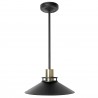 Dream Lighting 12V LED Interior Ceiling Light RV Motorhome Pendant Lamp Retro Camper Trailer